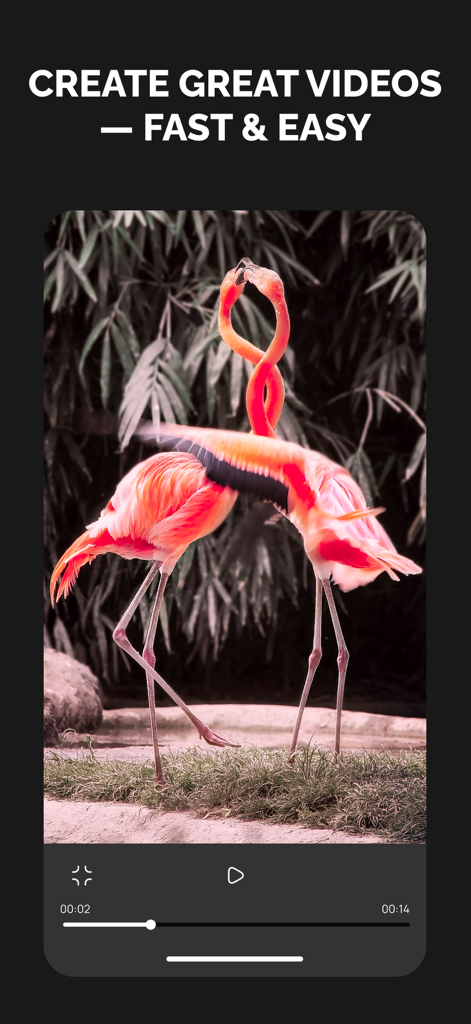 QuickMovie: Auto Video Editor - QuickMovie app interface showing a video preview of two flamingos with a headline for fast and easy video creation