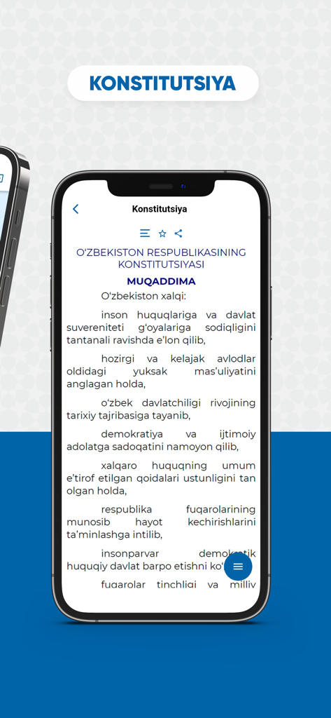 LexUz Mobile App zeigt die Verfassung Usbekistans an