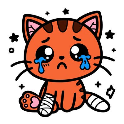 cute cat with hurt