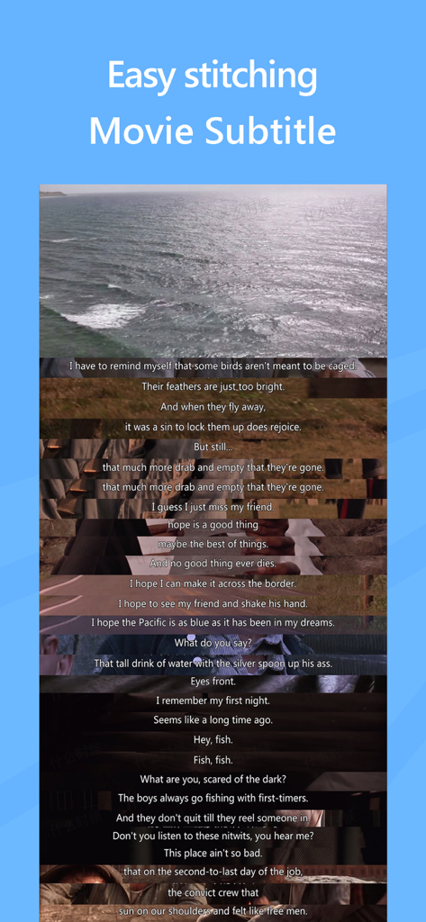 Ein langes vertikales Bild, das zusammengesetzte Filmszenen und Untertitel zeigt, die mit der StitchPics-App-Funktion erstellt wurden