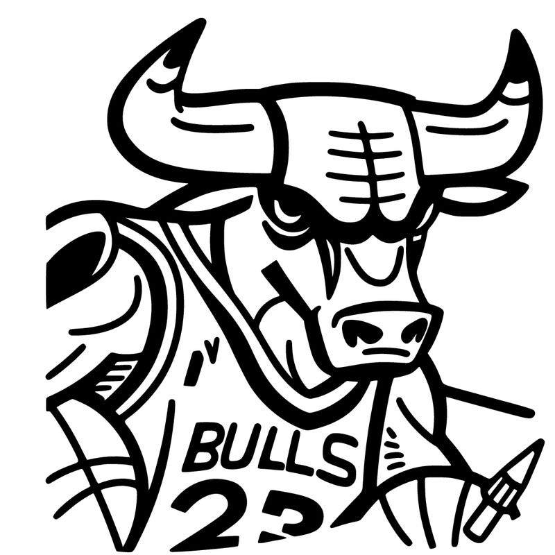 chicago bulls