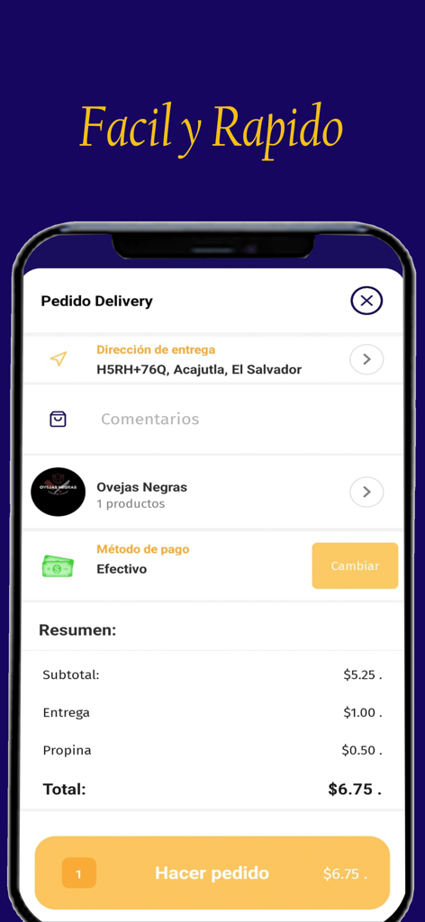 DeNi - DeNiアプリのモバイルインターフェース。合計金額と注文ボタンが表示されている配達注文の概要が表示されています。