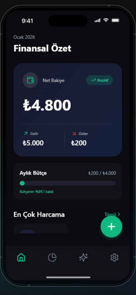 NetKar - NetKar app financial summary dashboard showing net balance and income tracking