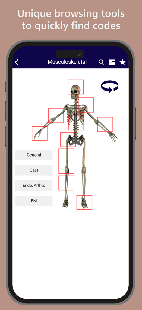 iCoder CPT RVU ICD10 HCPCS - Anatomisches Skelett-Interface zum Auffinden von muskuloskelettalen medizinischen Codes in der iCoder-App.