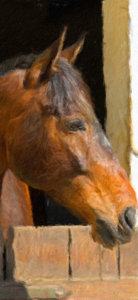Artista Impresso - Pintura impresionista digital de la cabeza de un caballo con pinceladas visibles y textura de lienzo
