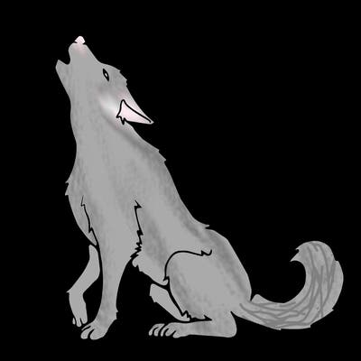 animals_36