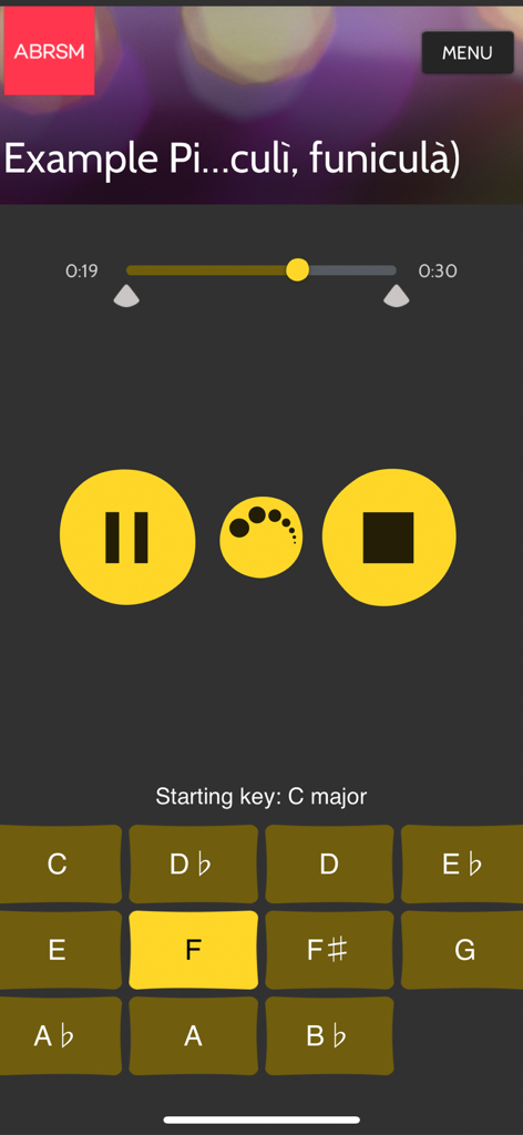 ABRSM SfMT Practice Partner - The ABRSM SfMT Practice Partner app interface displaying playback controls and options to change the musical key.