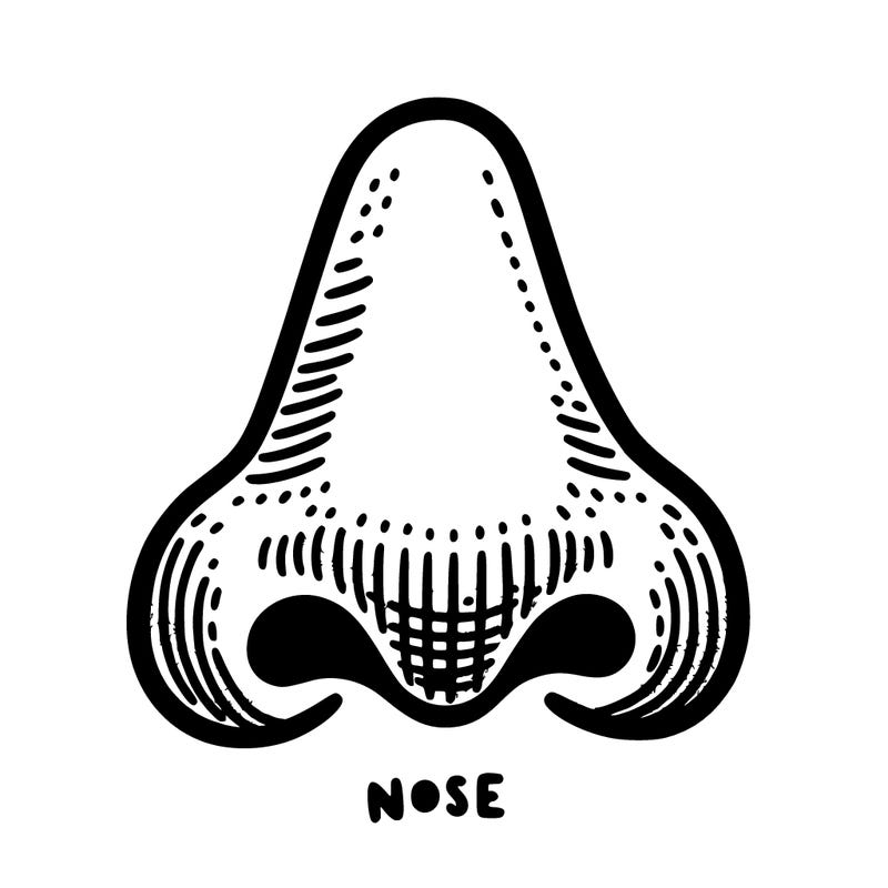 nose