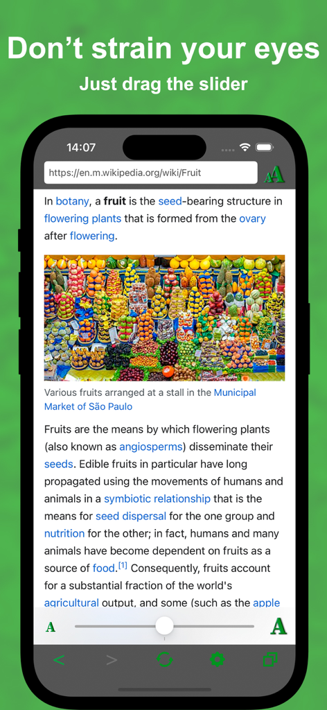 Smart Browser: Healthy Vision - Smart Browser app on an iPhone showing a Wikipedia page with a text size slider at the bottom to prevent eye strain.