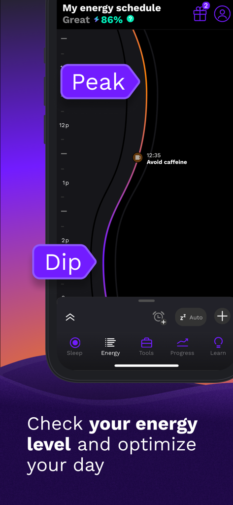 Rise app energy schedule showing daily peaks and dips