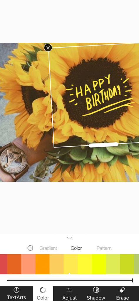 Picsee-Add text on photos - 사람들이 Picsee 앱을 사용하여 해바라기 사진에 노란색 Happy Birthday 텍스트를 추가하는 모습