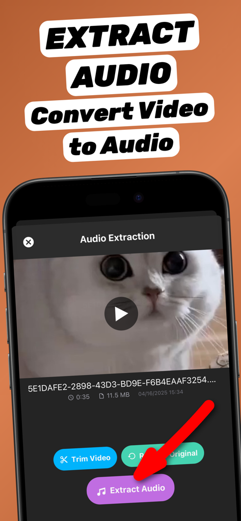 Tela de smartphone mostrando a interface do aplicativo Extrair Áudio de Vídeo com um vídeo de gato e um botão proeminente de extrair áudio