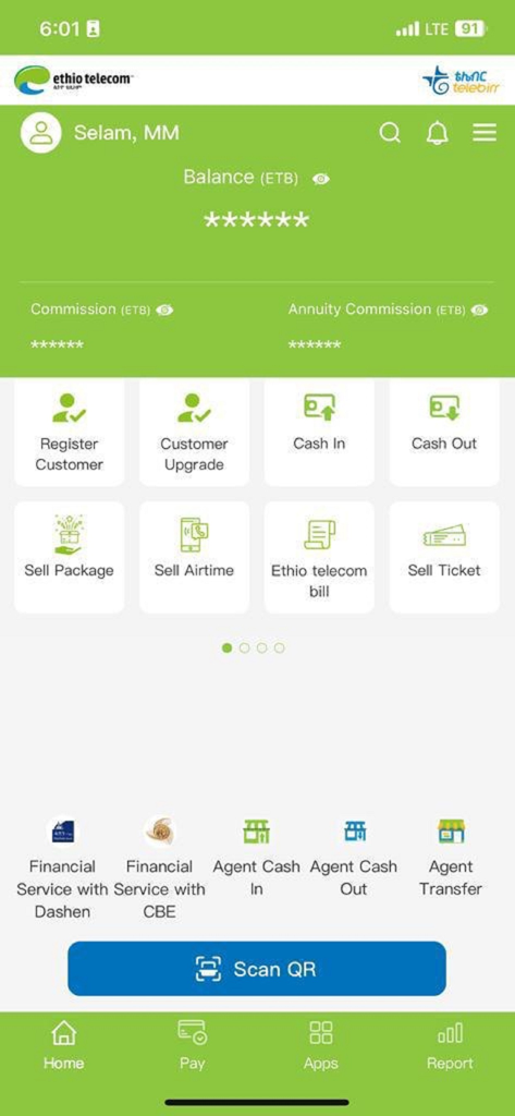telebirr partner - Telebirr partner app dashboard showing financial services for agents and merchants