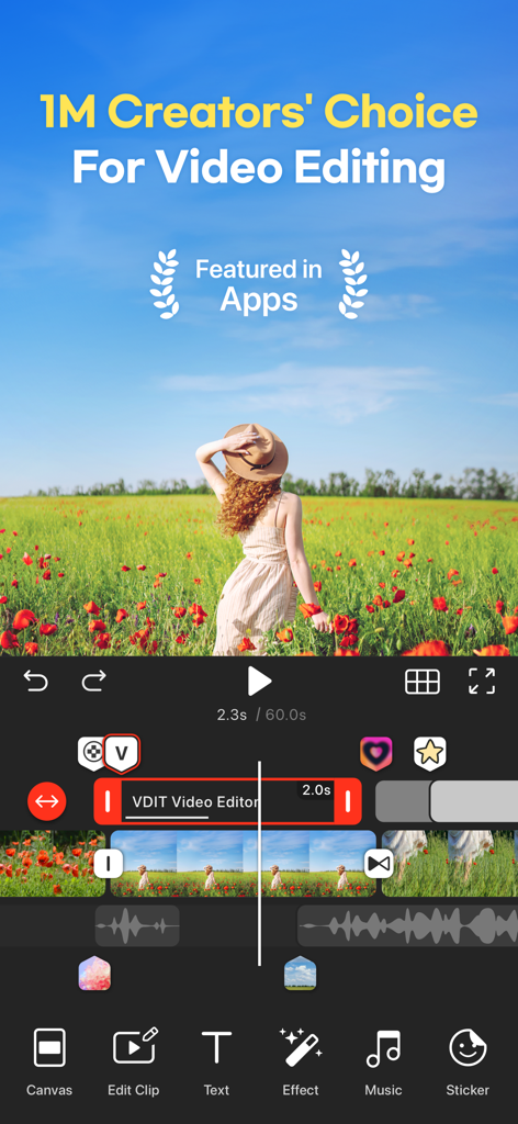 VDIT video editor interface showing a mobile workspace with a video of a woman in a poppy field and editing tools like text music and effects