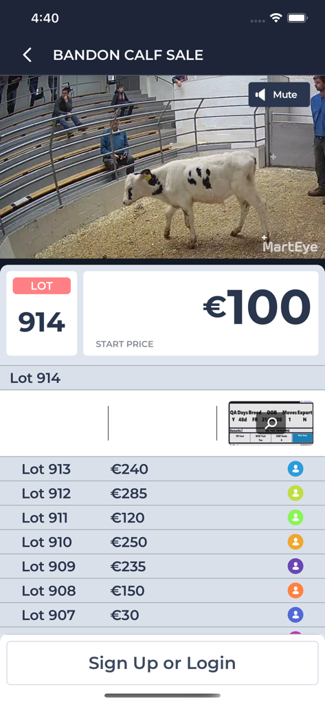 Live video feed of a calf auction with lot number and start price on the MartEye app