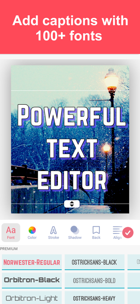 Interface du Créateur de mises en page de collages photo montrant les outils d'édition de texte et diverses options de polices pour les légendes