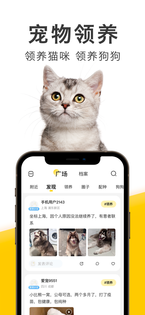 Interface de smartphone do aplicativo Youzhi Chongwu mostrando anúncios de adoção de pets e um feed de comunidade social para donos de pets