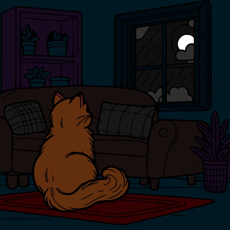 a cat sitting on a couch looking out the window