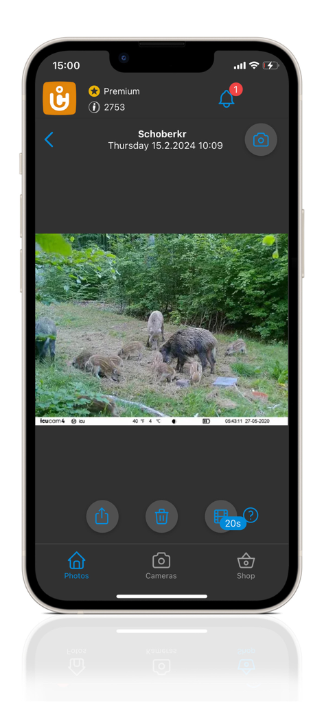 ICU CLOM APP - Trail camera photo of wild boars viewed on the ICU CLOM mobile app