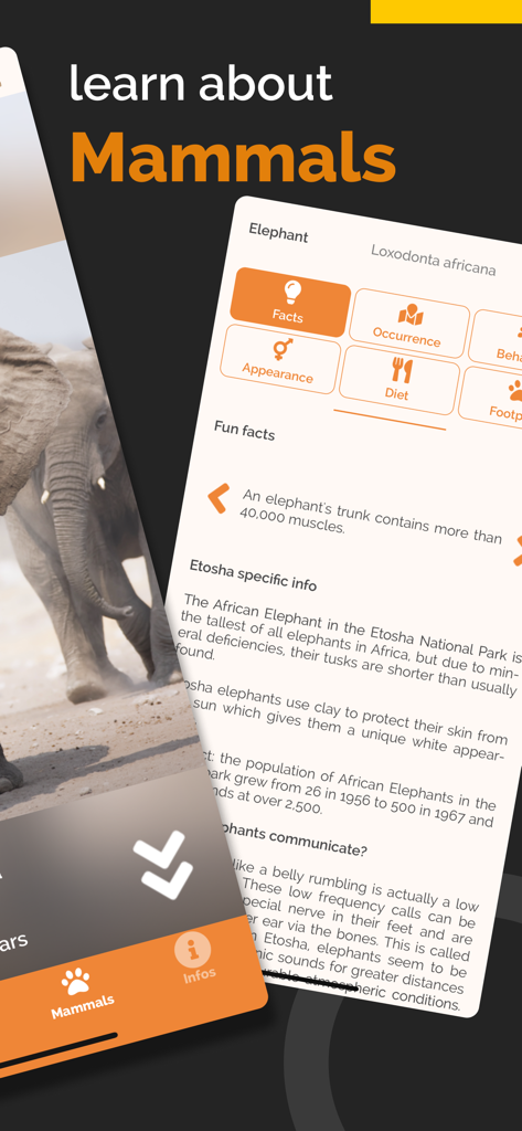 Etosha App - Namibia - エトーシャ アプリの哺乳類ガイドにおけるアフリカゾウの詳細な科学的・行動的情報を示すスクリーンショット