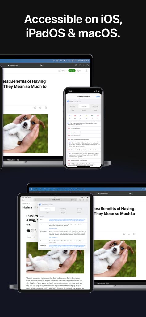 SEO Meta for Safari - Extension Meta SEO pour Safari affichée sur MacBook, iPad et iPhone