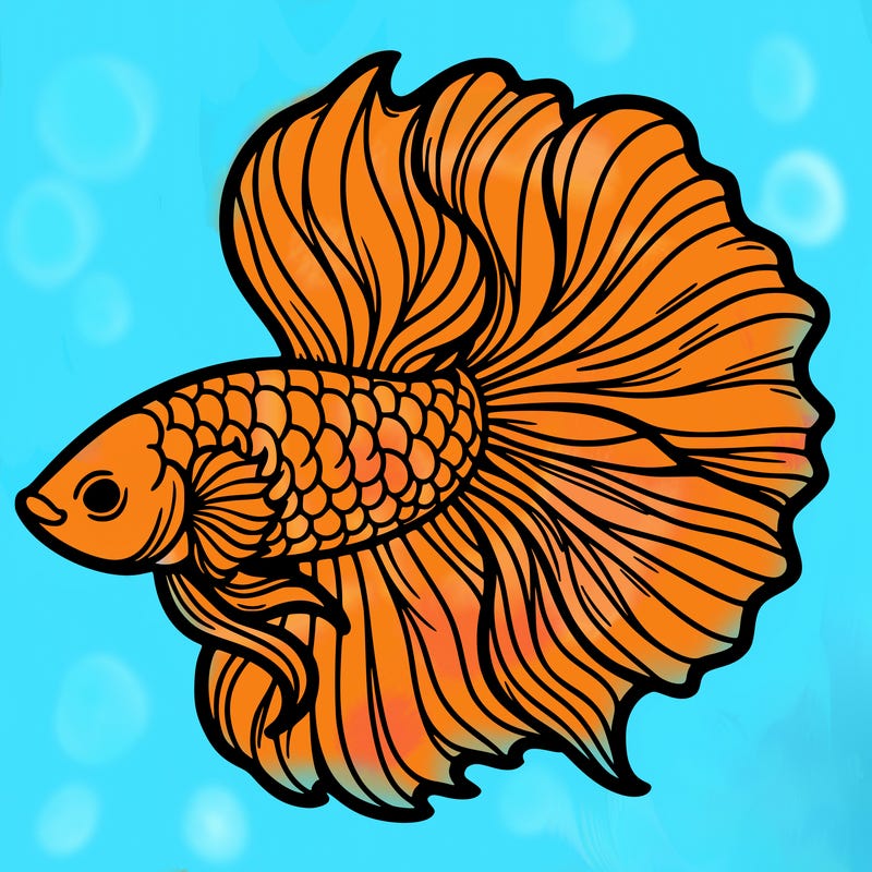 betta fish