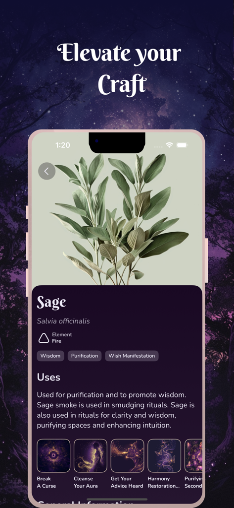 Witchcraft & Wicca - Coven App - Smartphone screen showing sage herb properties and ritual uses in the Coven app