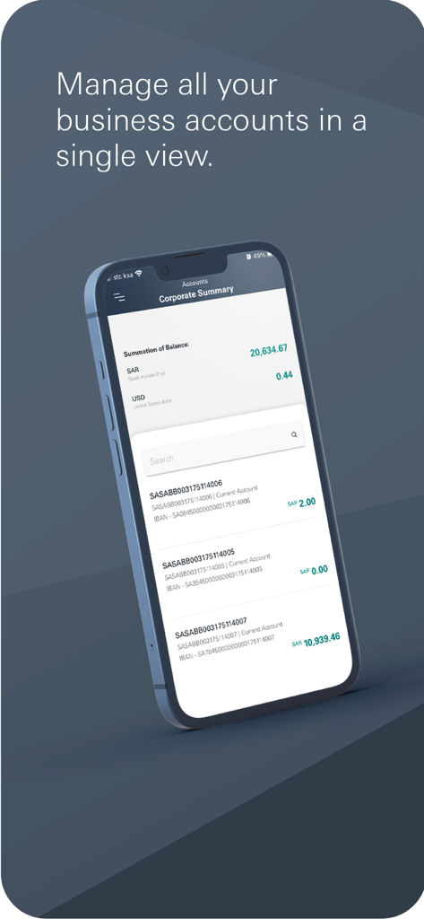 SAB iCorp - Aplicación SAB iCorp que muestra el resumen de la cuenta corporativa y los saldos comerciales en un smartphone