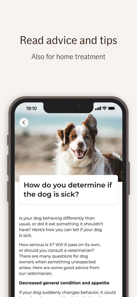 If Djurhjälpen - Interfaz de la aplicación If Djurhjalpen que muestra consejos y trucos para identificar perros enfermos