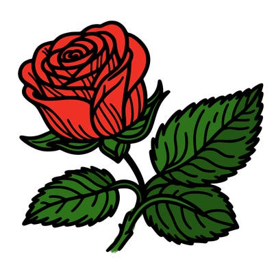 rose
