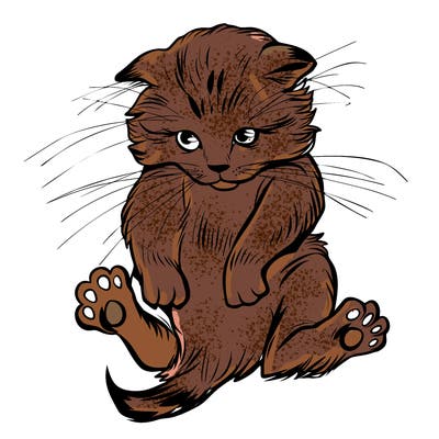 animals_20