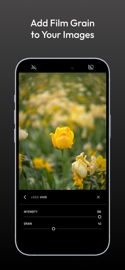 Leica LUX - Pro Manual Camera - Um smartphone mostrando a interface do aplicativo Leica LUX para adicionar granulação de filme a uma foto de uma tulipa amarela