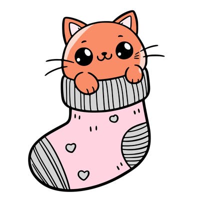 cute cat in a sock