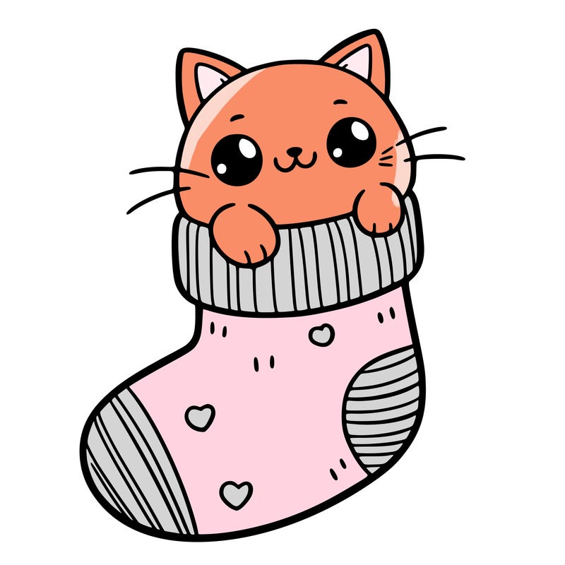 cute cat in a sock