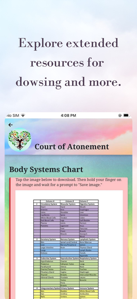 Court of Atonement - Court of Atonement app screen displaying a body systems chart for dowsing resources