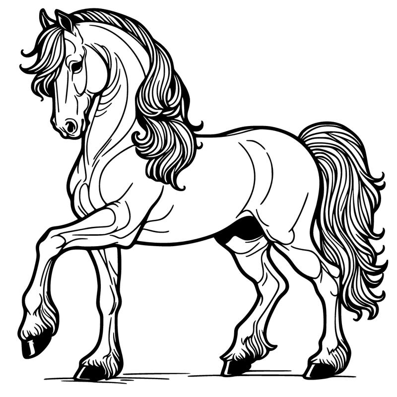 andalusian stud horse