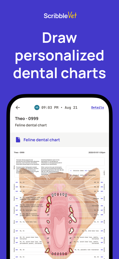 A feline dental chart displayed within the ScribbleVet app showing detailed tooth diagrams and medical notes.