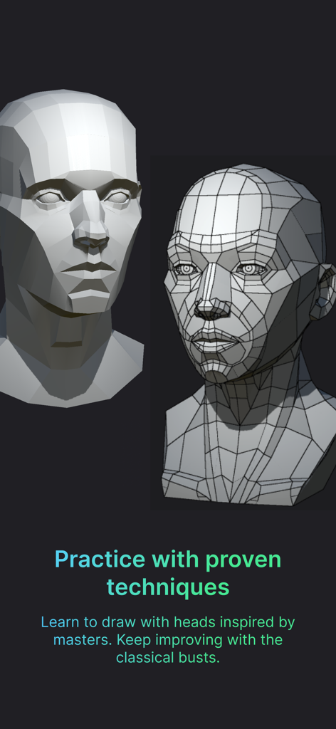 Head Model Studio - Art Study - Two 3D head models demonstrating simplified facial planes and wireframe geometry for drawing practice