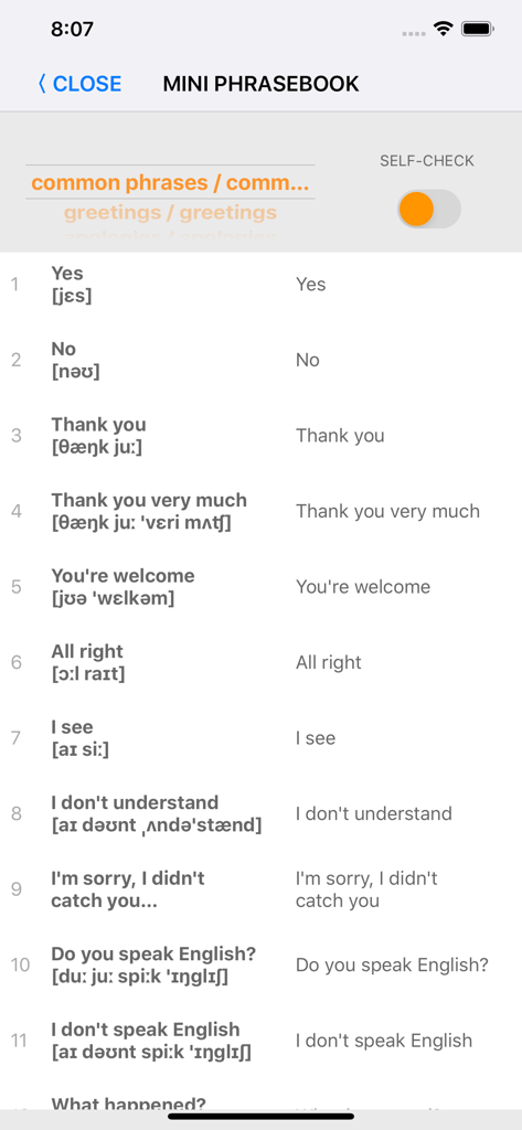 Bildschirm einer mobilen App, der ein Mini-Taschenwörterbuch mit gängigen englischen Phrasen und phonetischen Transkriptionen zur Aussprachelernen anzeigt.