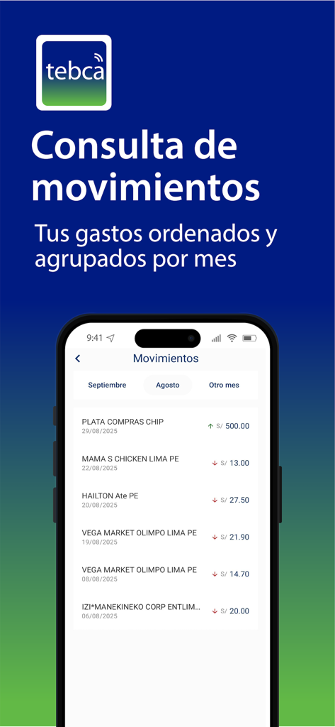 TEBCA - A mobile screenshot of the TEBCA app showing the transaction history screen with expenses organized by month.