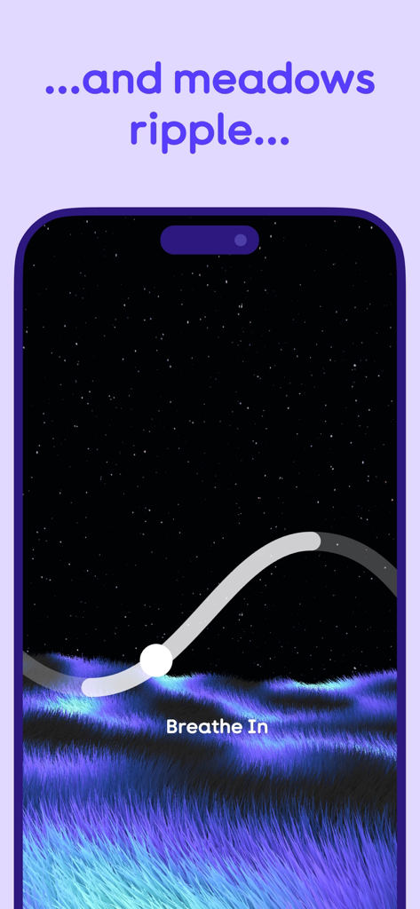 Ejercicio de respiración interactivo con praderas azules brillantes y una guía visual