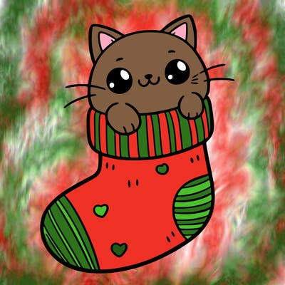 cute cat in a sock