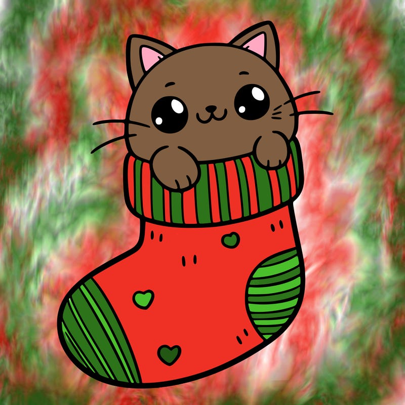 cute cat in a sock