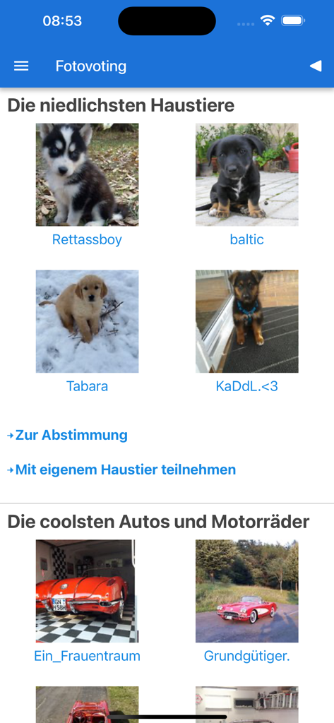 Screenshot of the spin.de app showing photo voting sections for pets and cars.