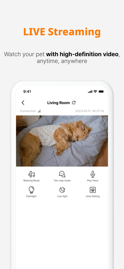 Dogibo: Pet Cam App, AI Care - Dogibo app screen showing a high definition live stream of a dog resting in a living room