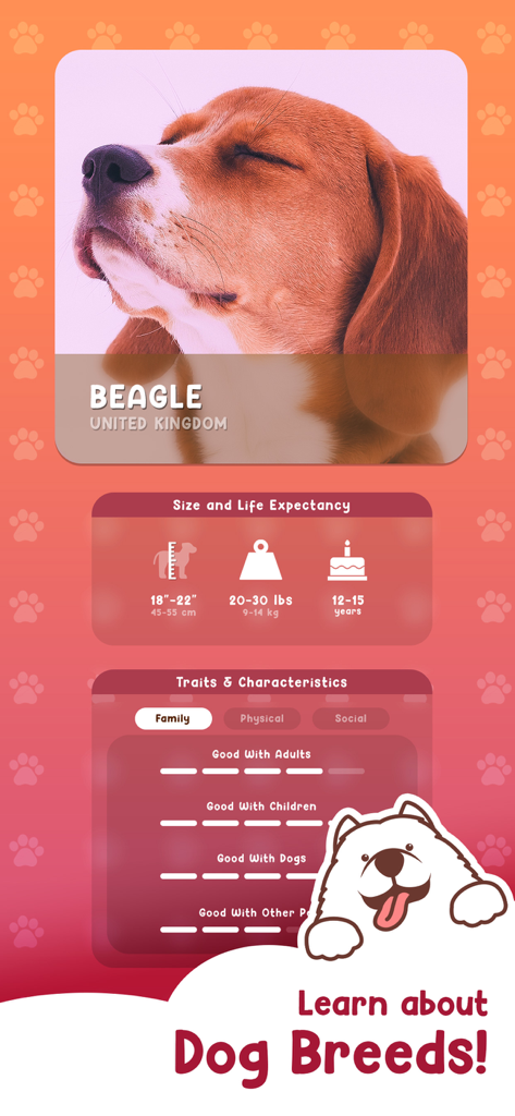 Dog Hotel Tycoon: Pet Game - Un perfil detallado de la raza Beagle en Dog Hotel Tycoon que muestra el tamaño, la esperanza de vida y los rasgos de comportamiento