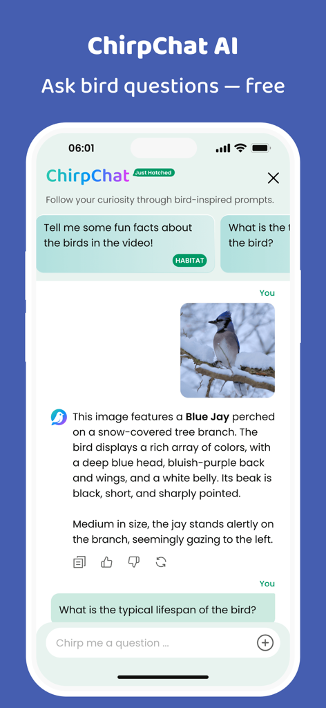 COOLFLY: Birding & Connection - The ChirpChat AI feature in the COOLFLY app identifying a Blue Jay and providing educational bird facts.