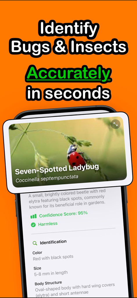 Bug Identifier - BugSnap - Reference App | MWM