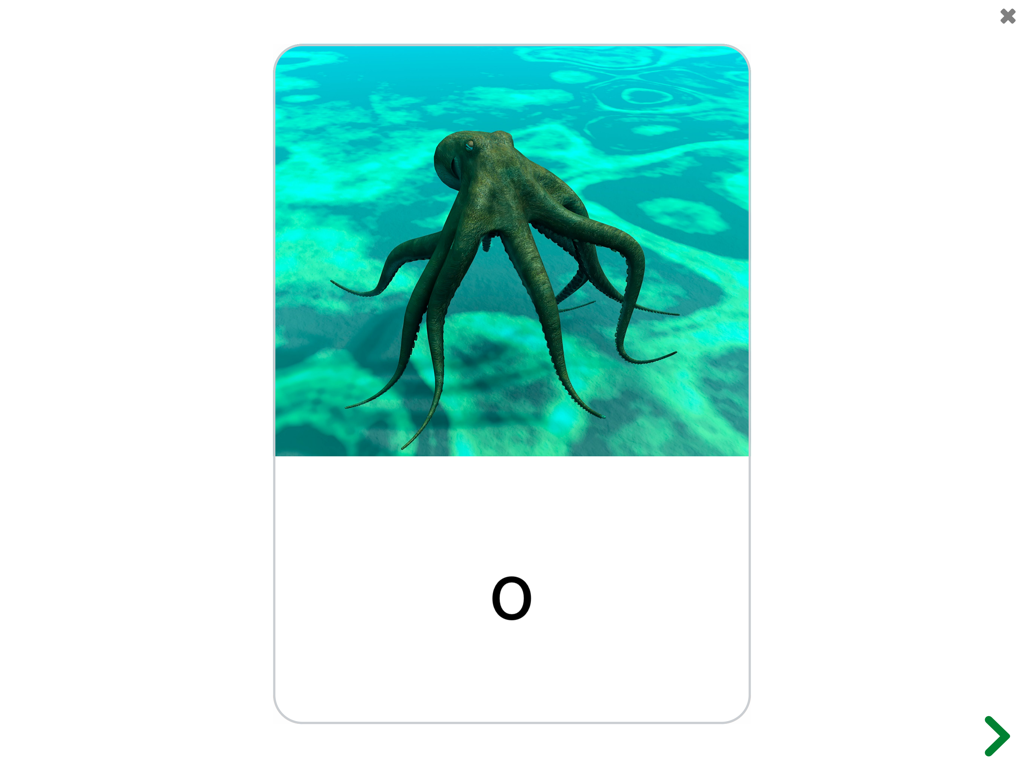 See and Learn Speech Sounds - Educational flashcard showing a picture of an octopus and the letter O for speech sound practice