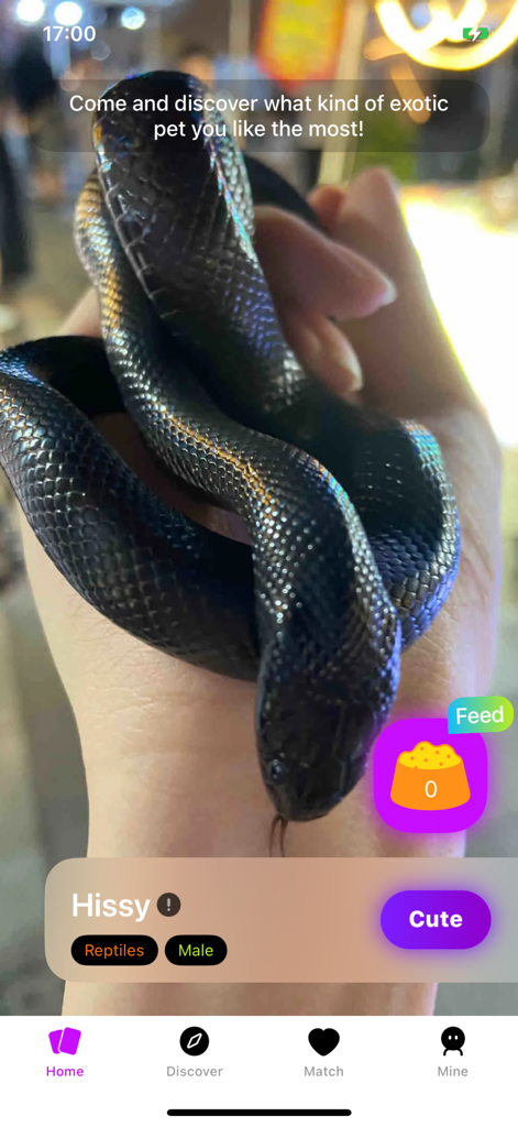 Un serpente nero di nome Hissy mostrato sul feed social dell'app mobile ExopetPals.